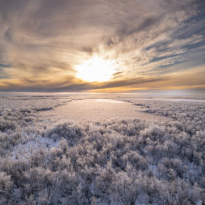 Tundra from Above