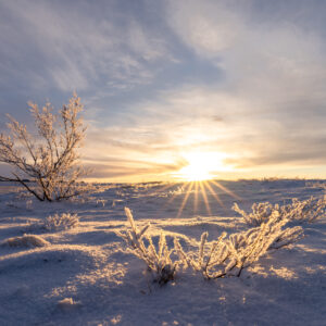 Winter Sunset
